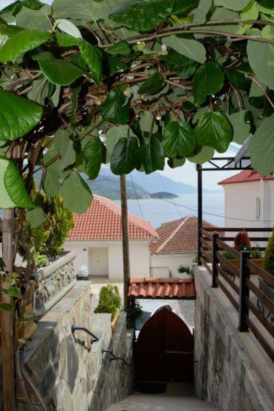 Villa Scandik Ohrid Exterior photo