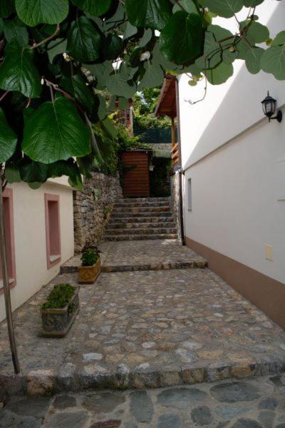Villa Scandik Ohrid Exterior photo